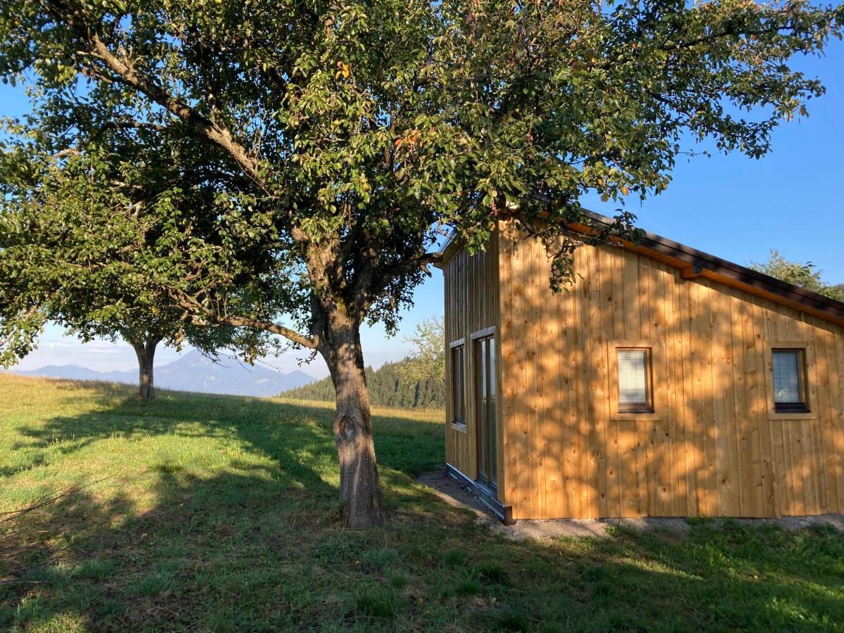 Villa Tiny House Mislinja Exterior foto